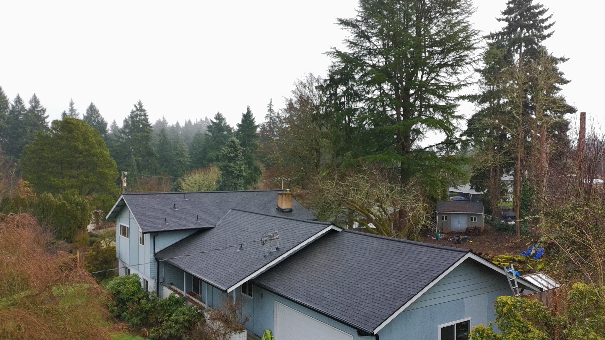 Shingle Roof — Pacific NW Forest - Tillamook, OR